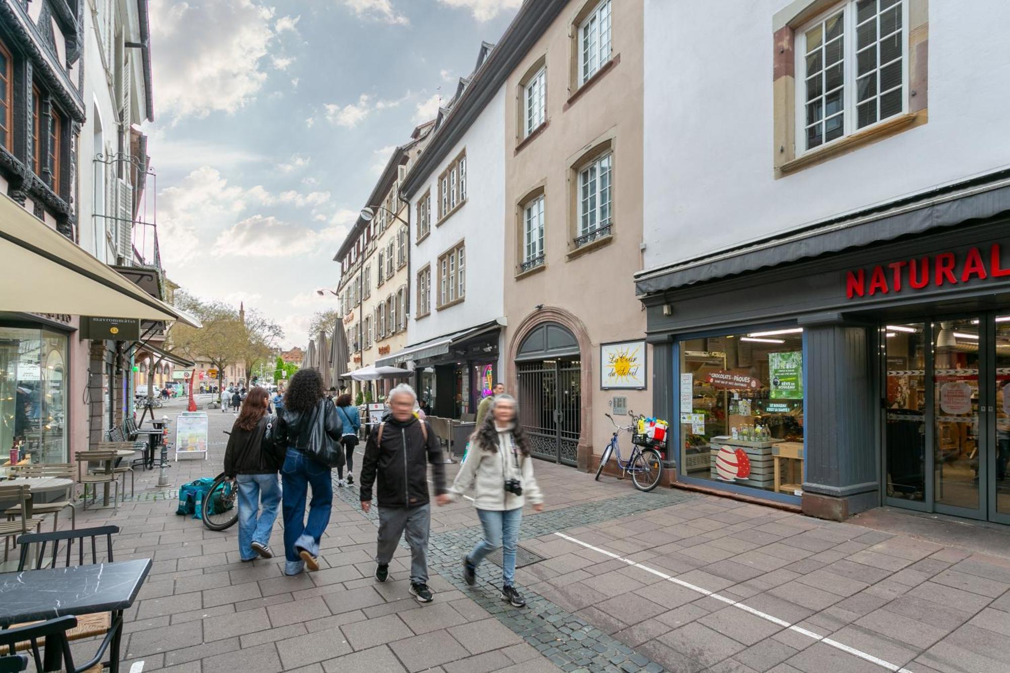 Le Cocon Alsacien Leilighet Strasbourg Eksteriør bilde